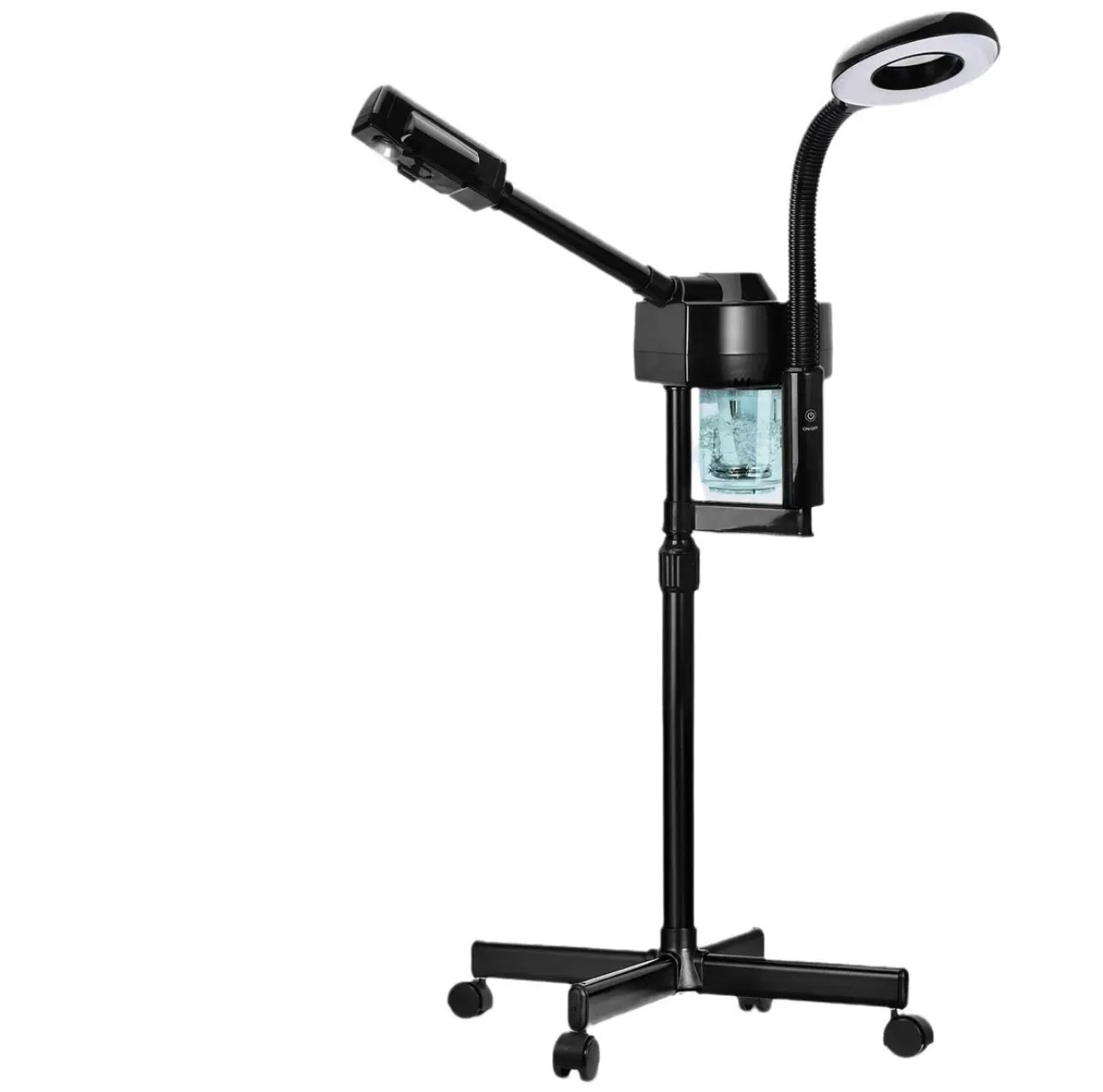 Professional facial steamer